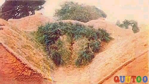 ��������һ�㶼������