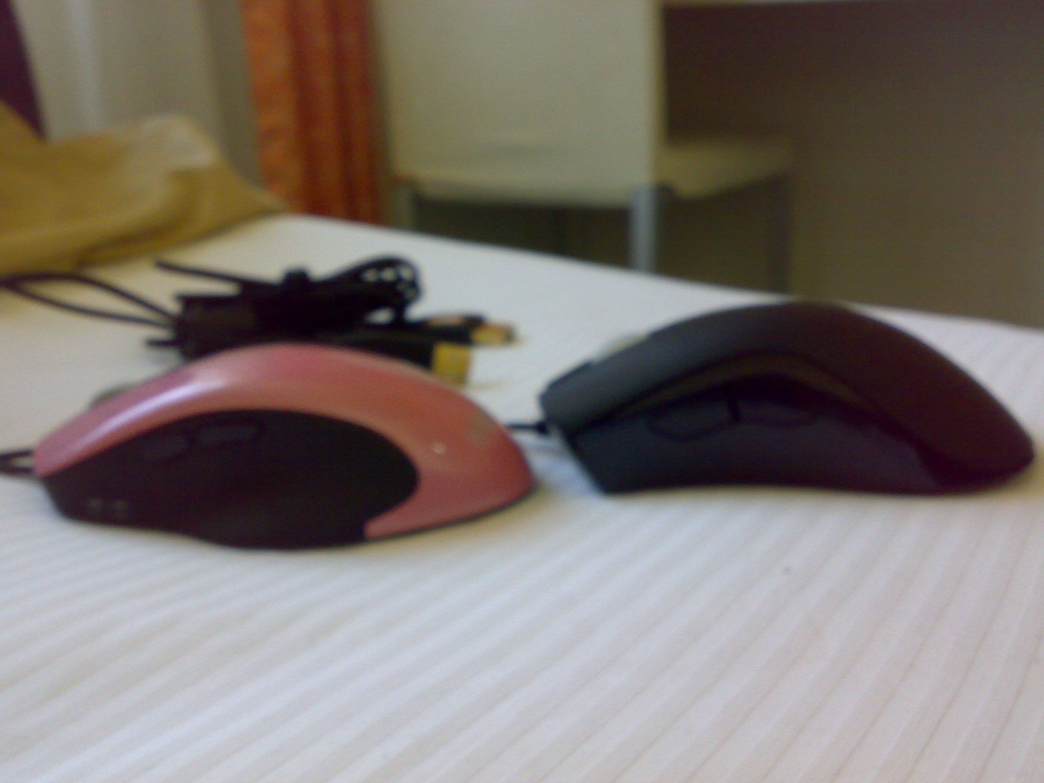 20110403081.jpg