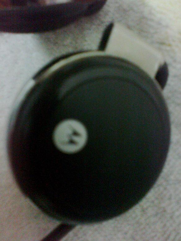 20110418065.jpg