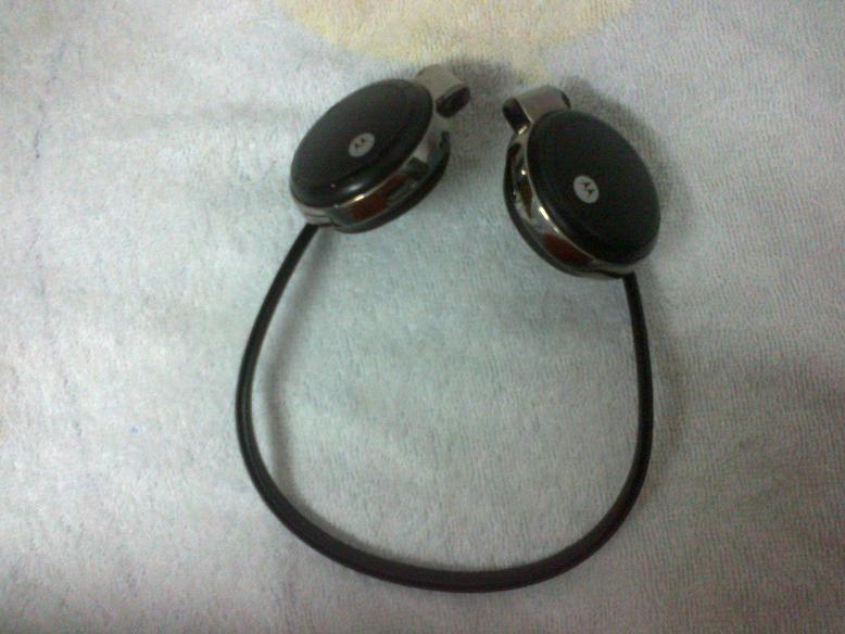 20110418064.jpg