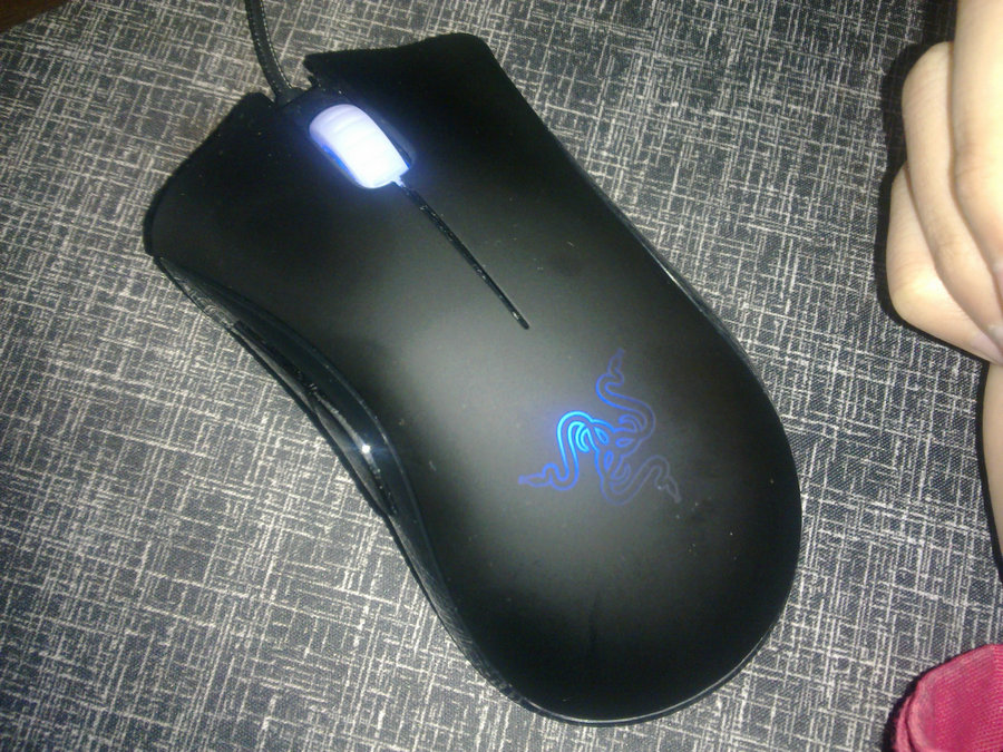 ��95�� �°���������