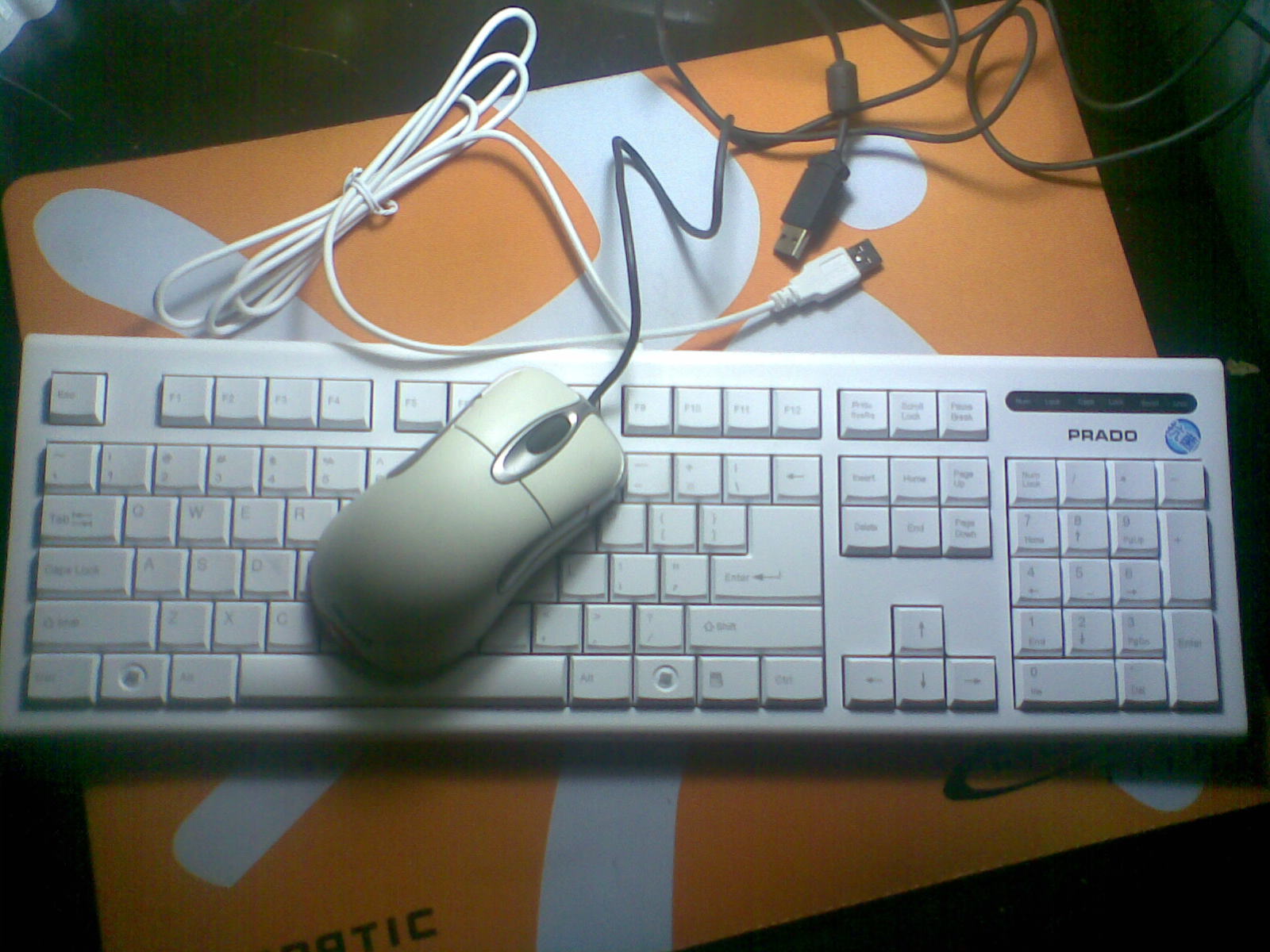 20110415(015).jpg