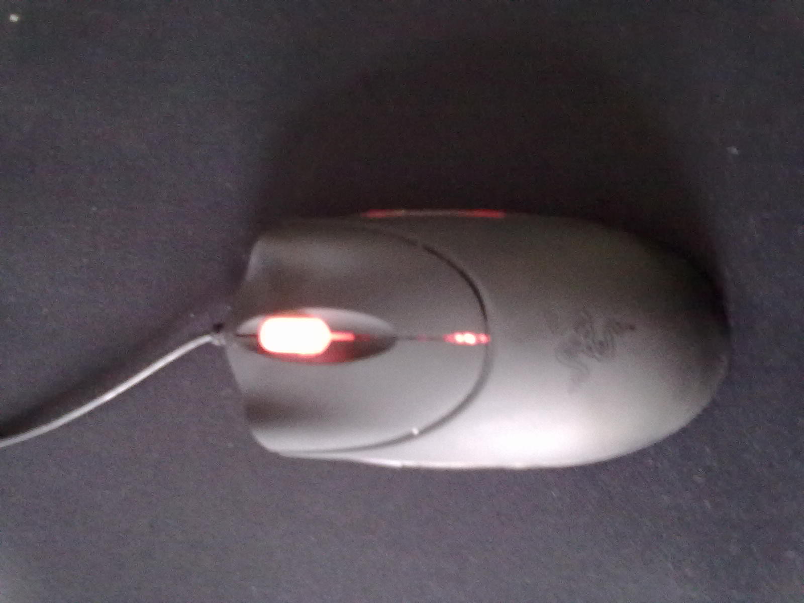 20110419024.jpg