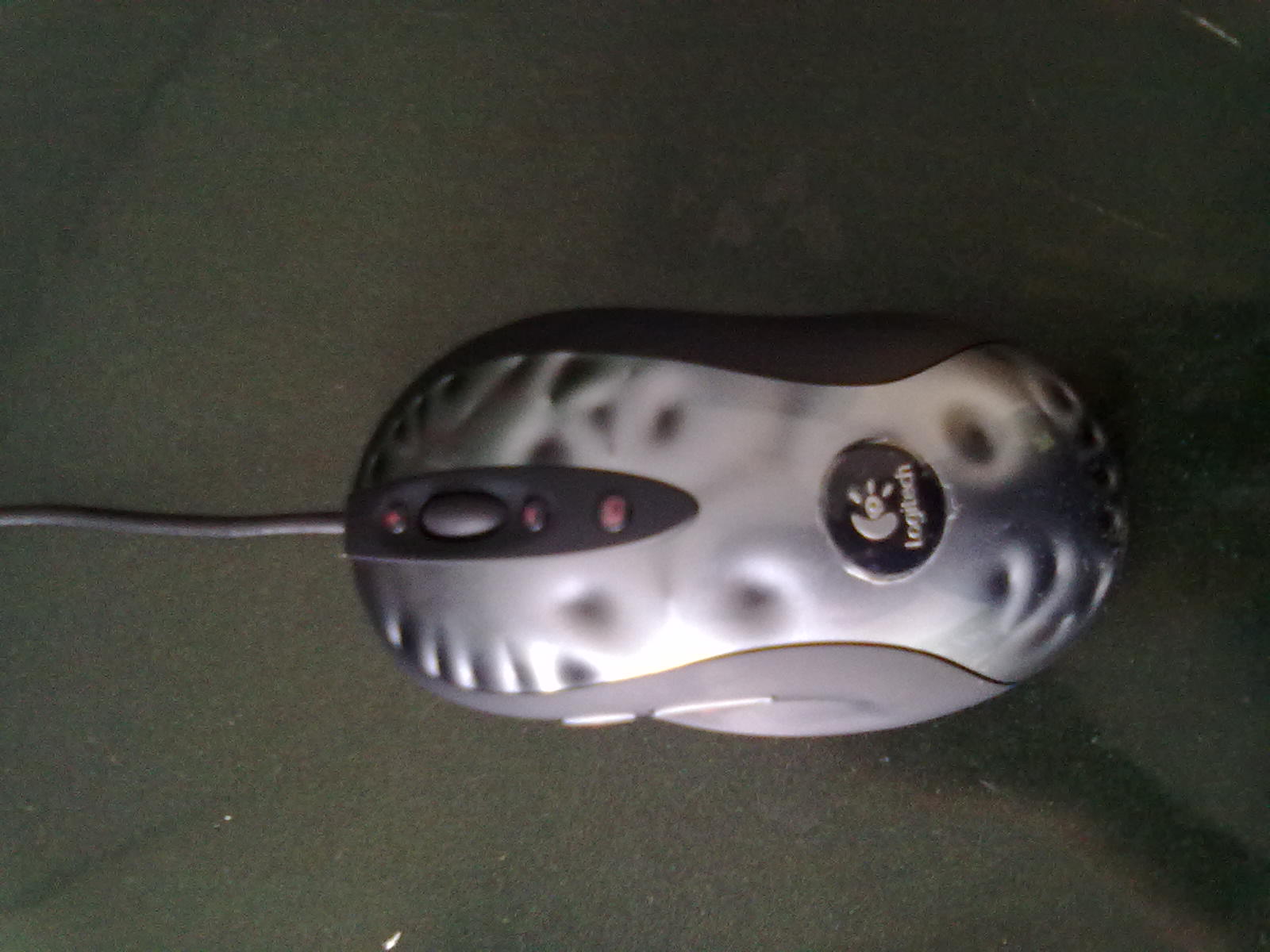 20110419021.jpg