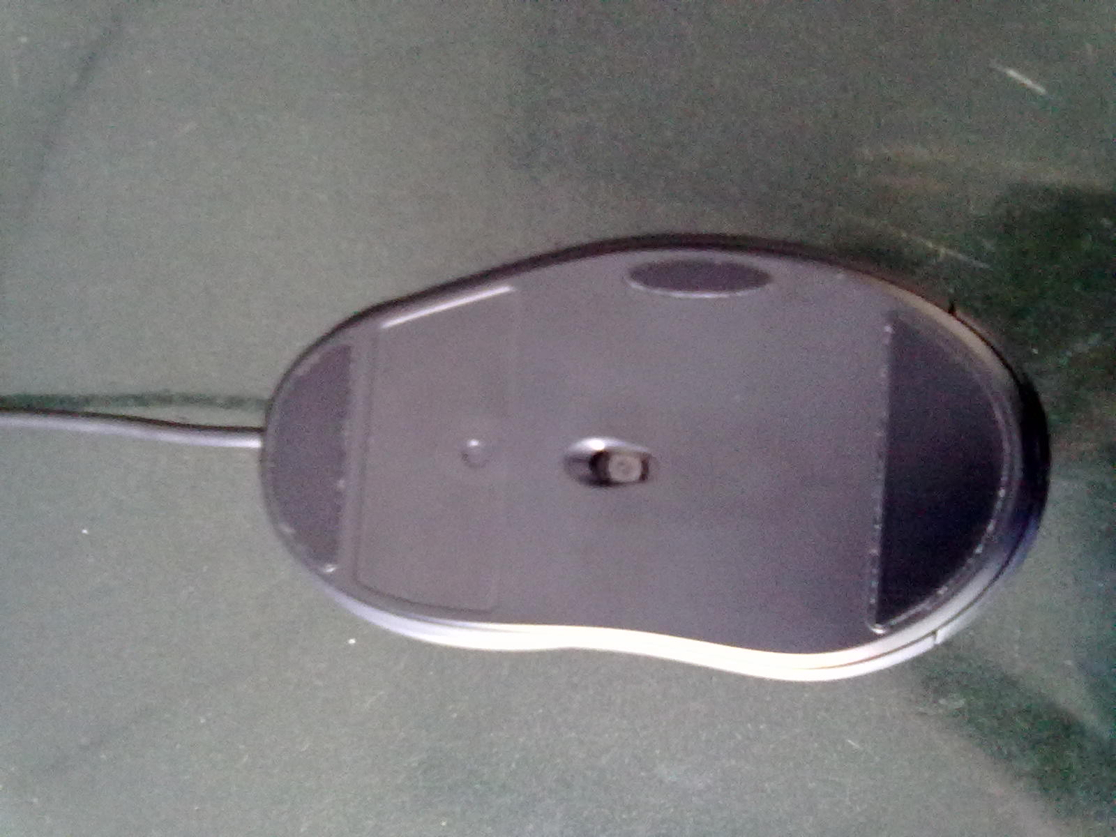 20110419022.jpg
