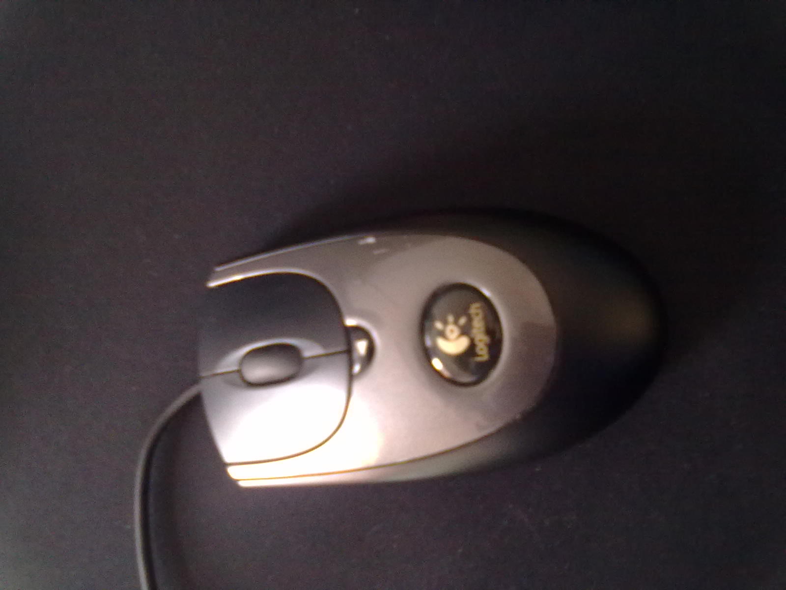 20110419029.jpg