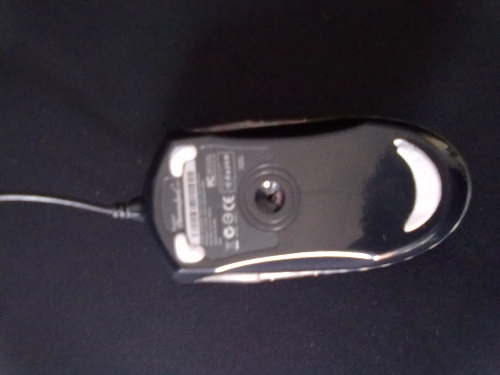 20110419025.jpg