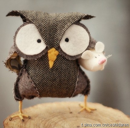 ��˵˵�Լ��ĵ�һ̨���Ե�������..................