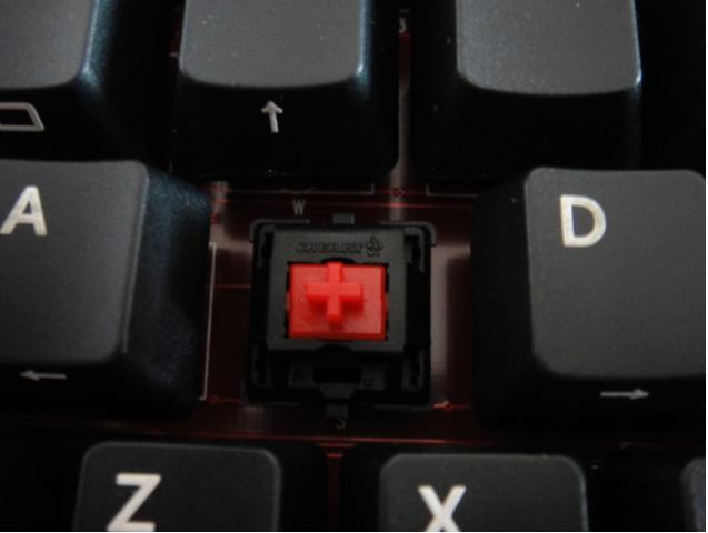 a.JPG