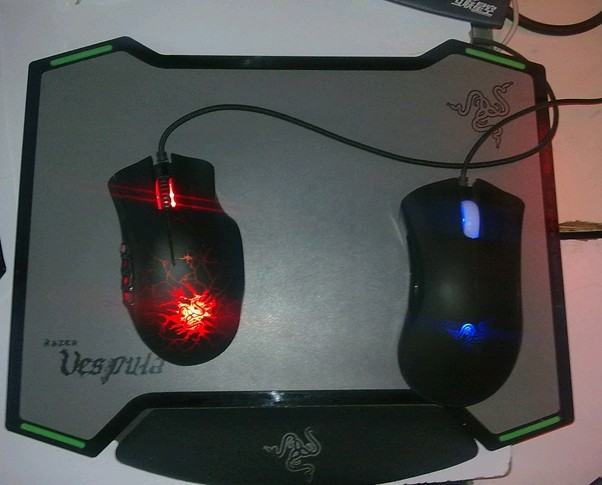 ���ֵ�һ�η��� ��Ȼ����ϲ�����Ƶ�װ��