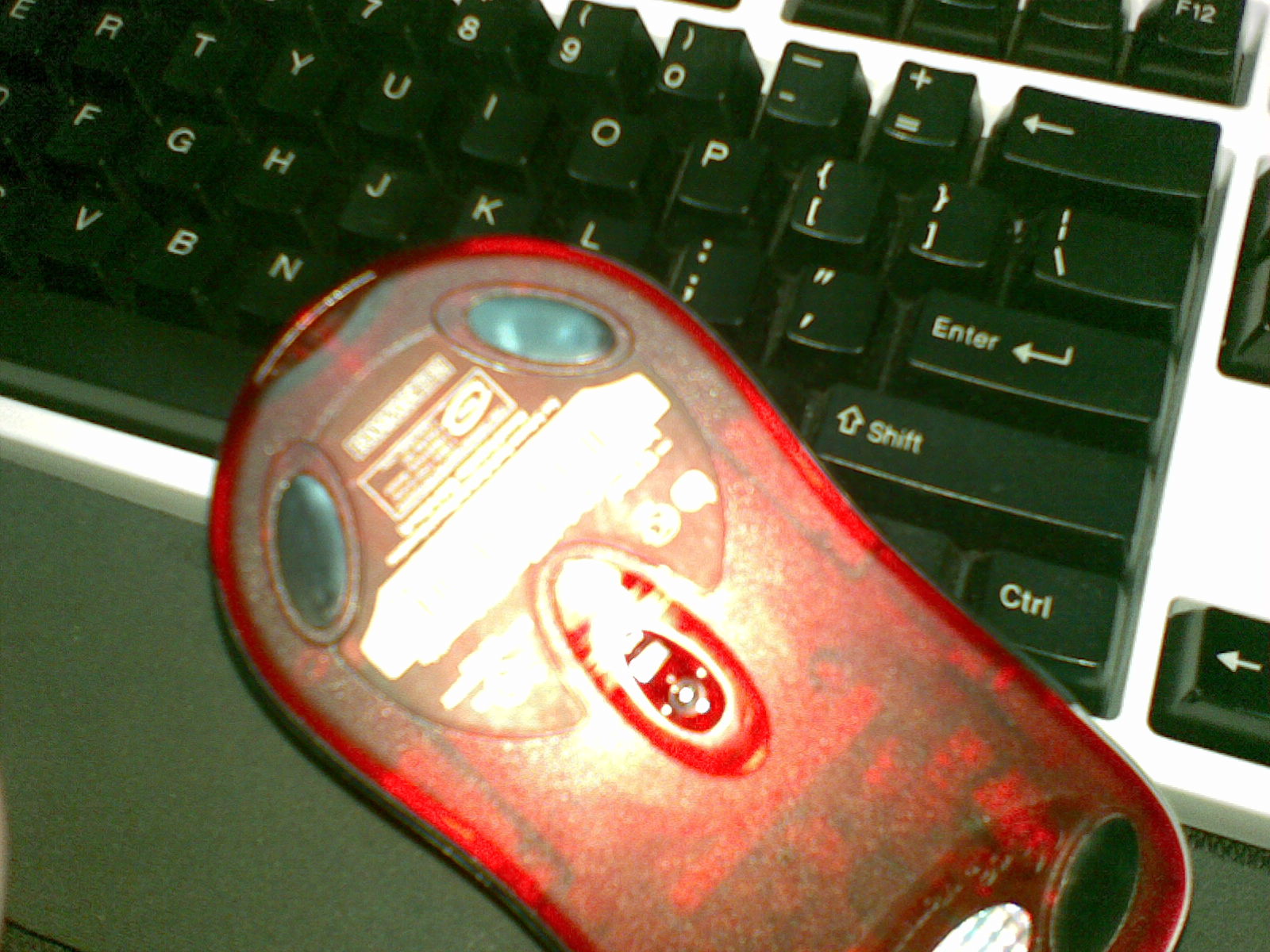 20110425134.jpg