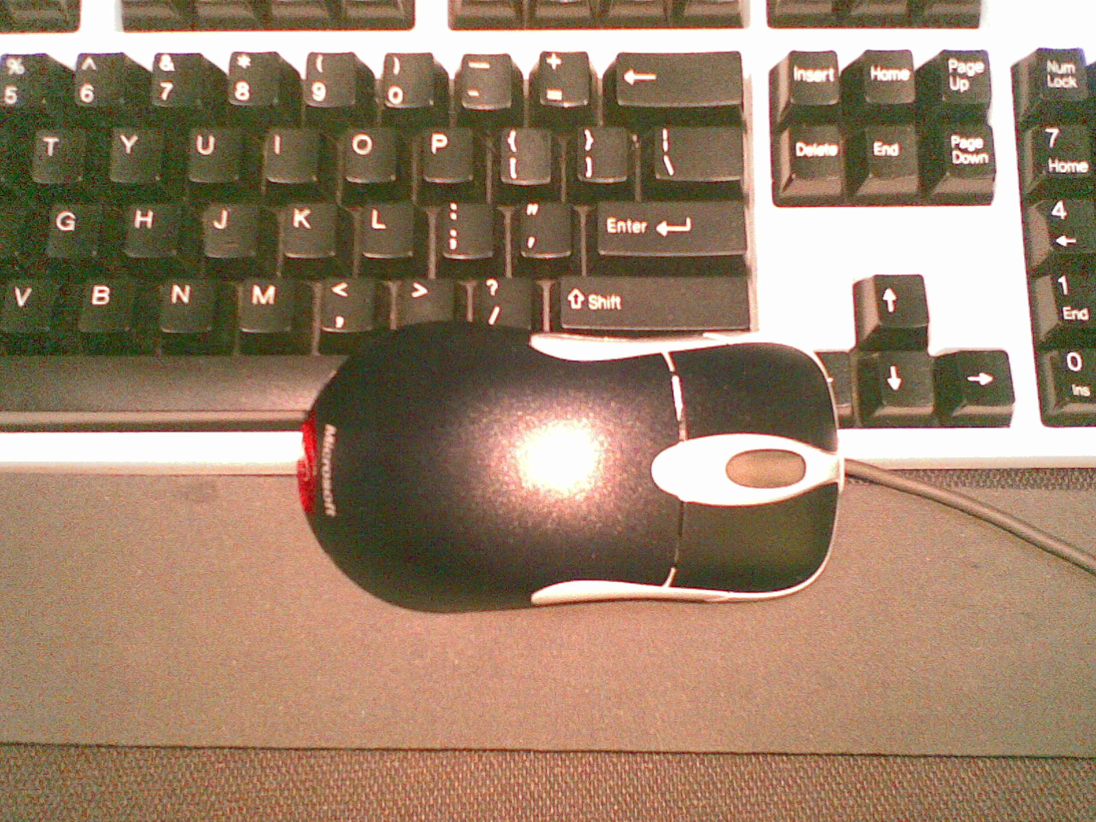20110425132.jpg