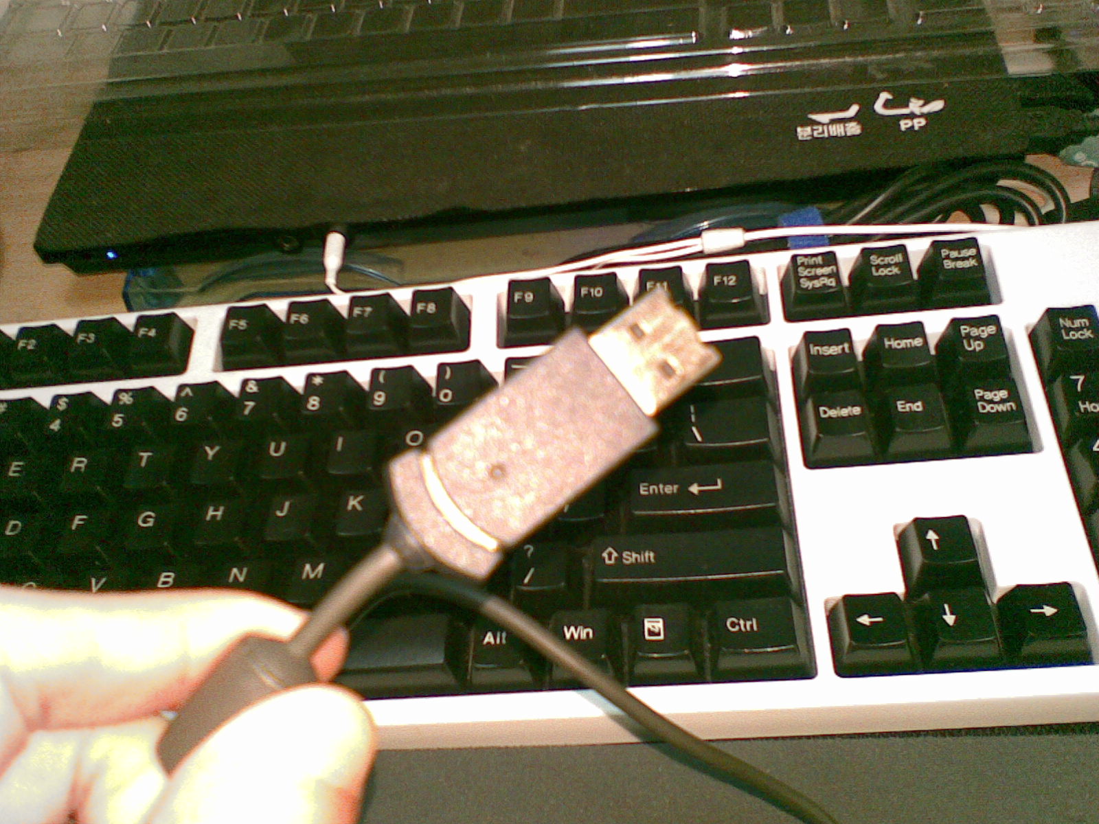 20110425135.jpg