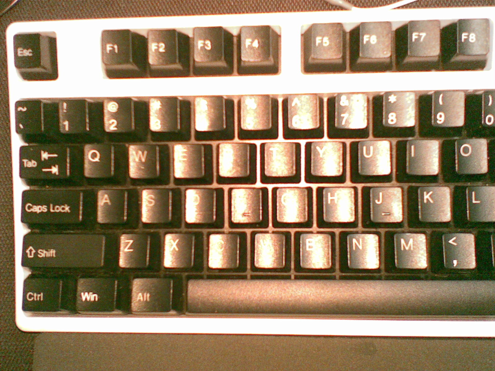 20110425128.jpg