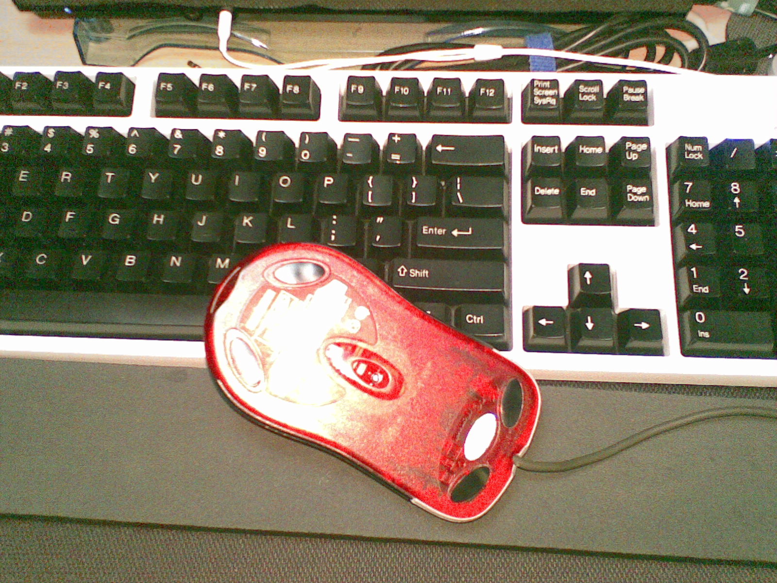 20110425133.jpg
