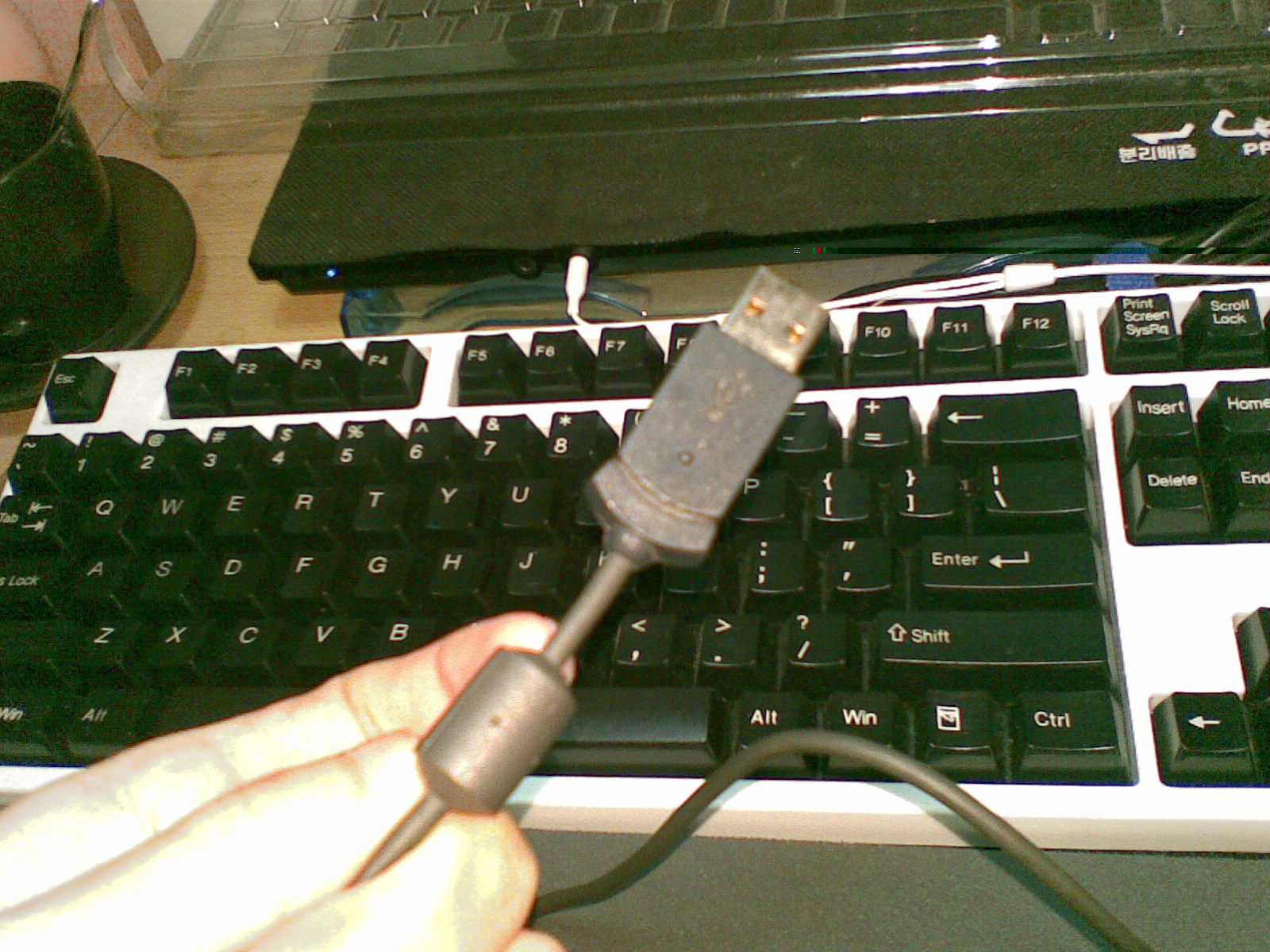 20110425136.jpg