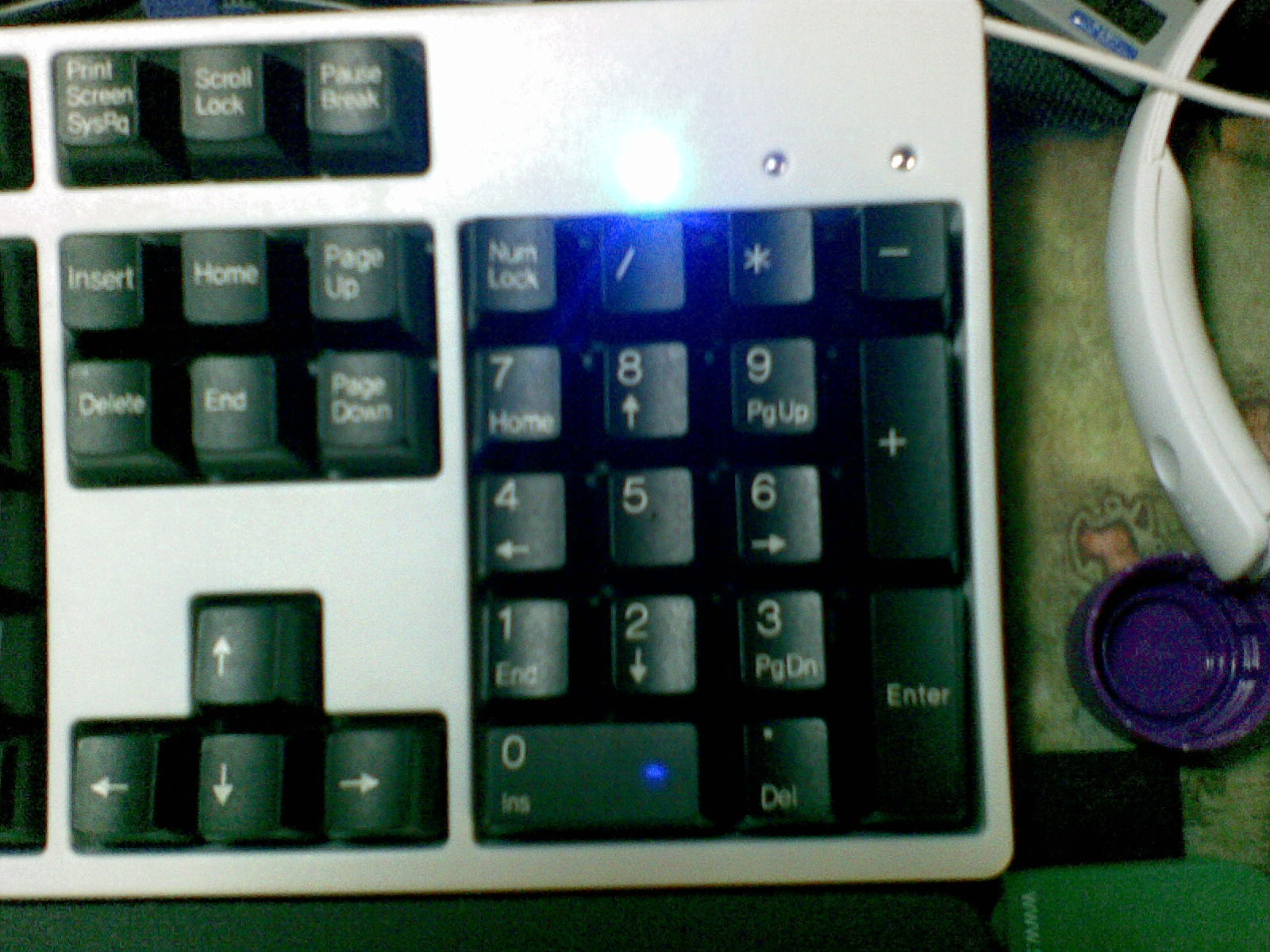 20110425127.jpg
