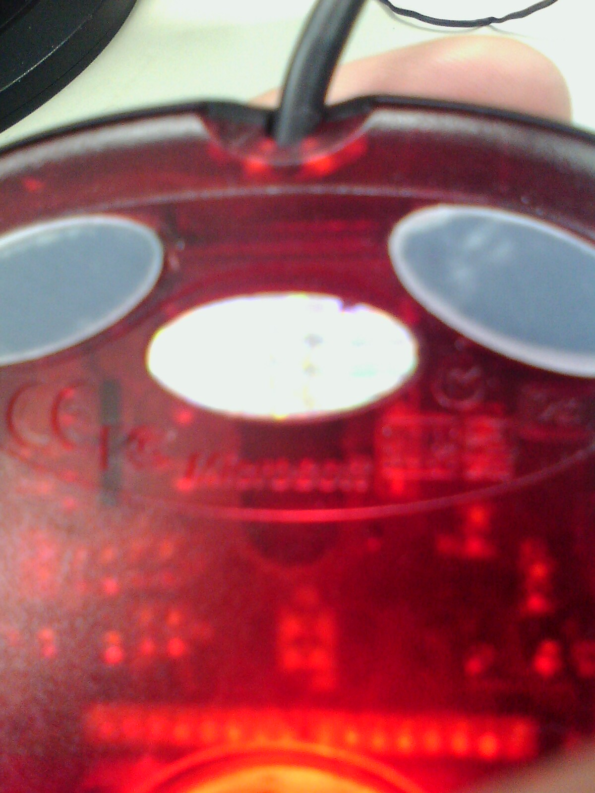 IMG0428114701.jpg