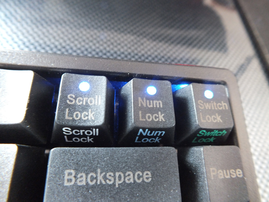 DSCF0397.jpg