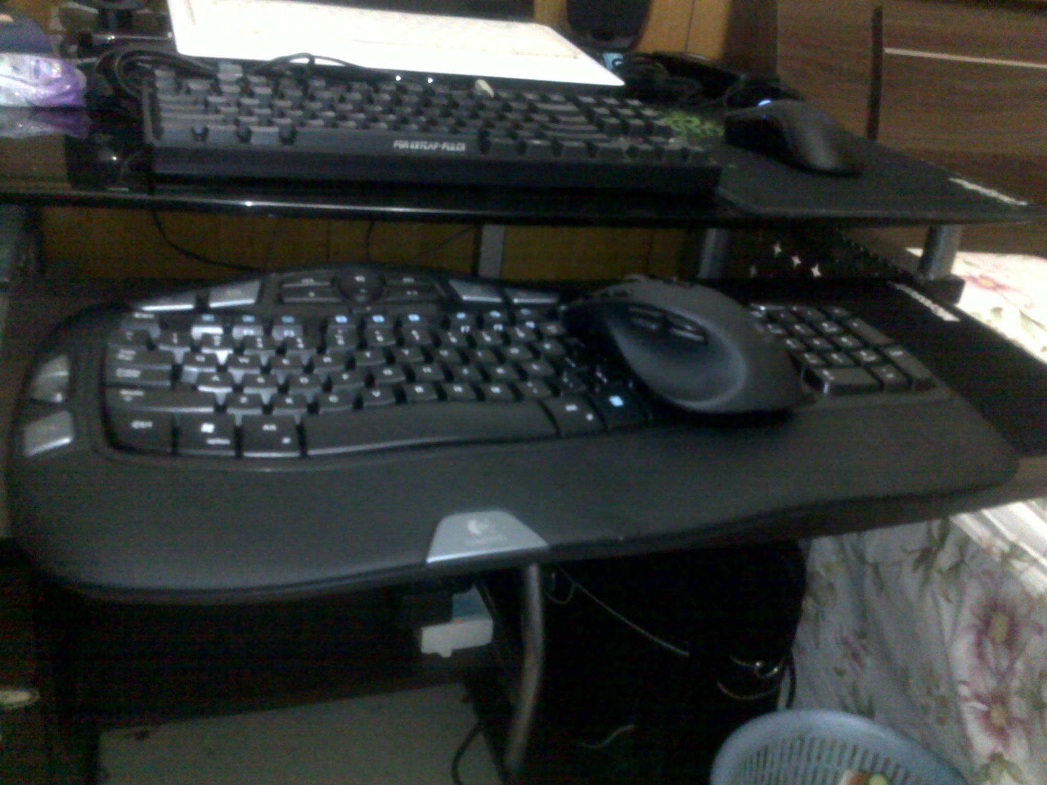 20110430026.jpg