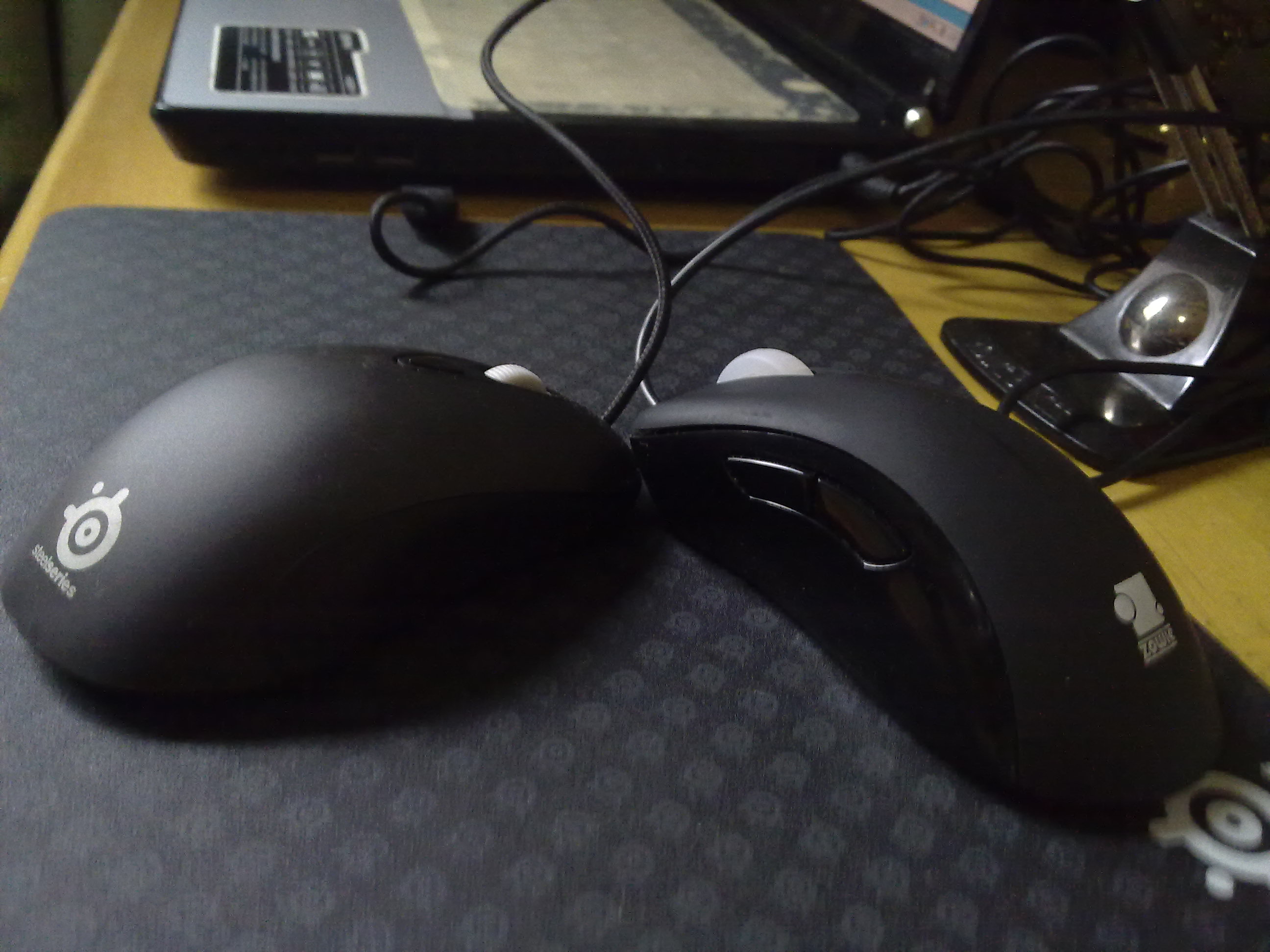 20110430061.jpg