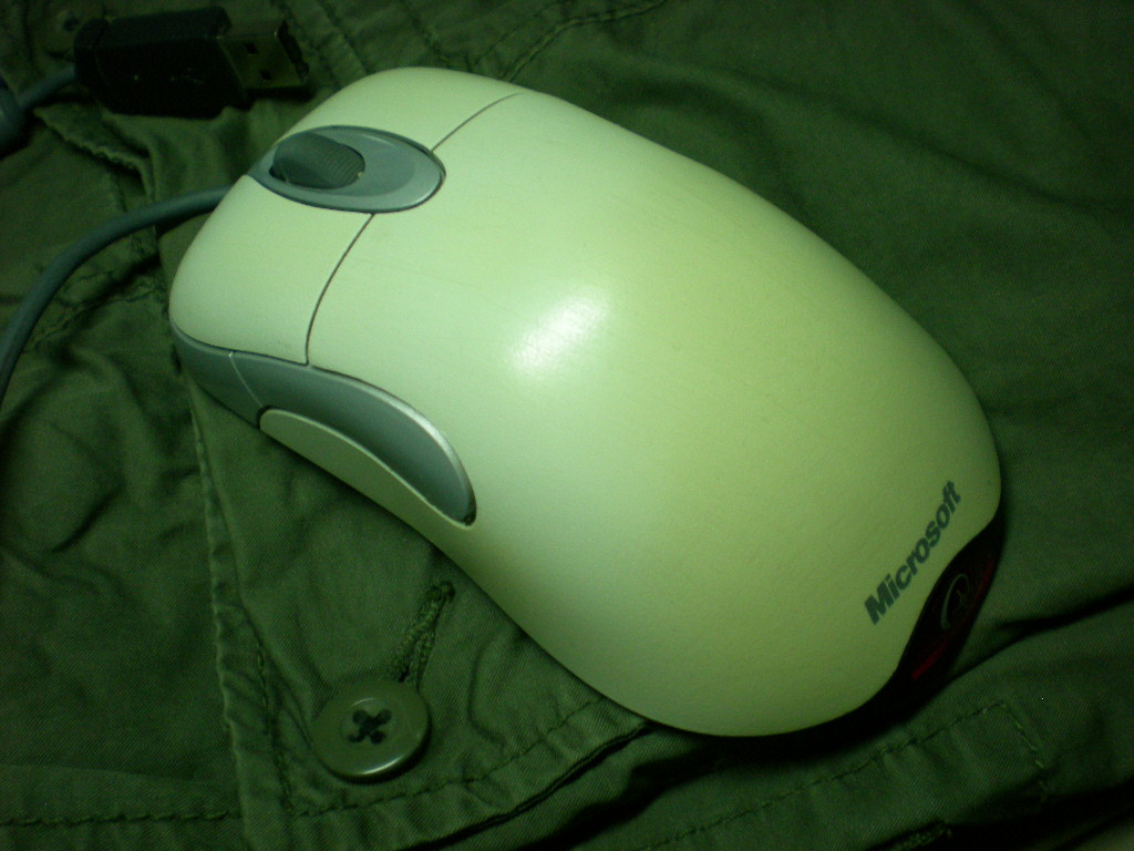 DSCN8989.JPG