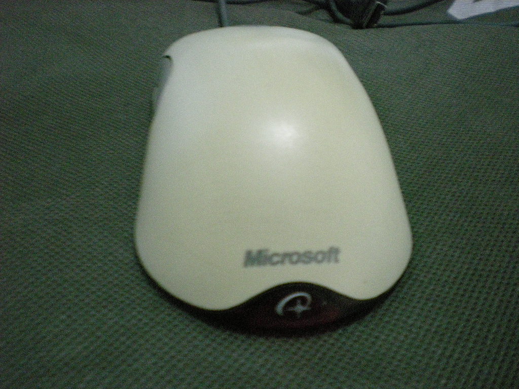 DSCN8988.JPG