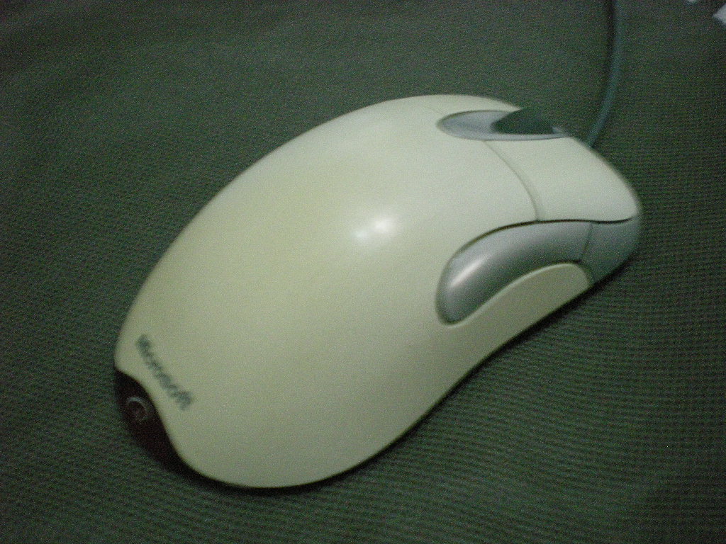 DSCN8986.JPG
