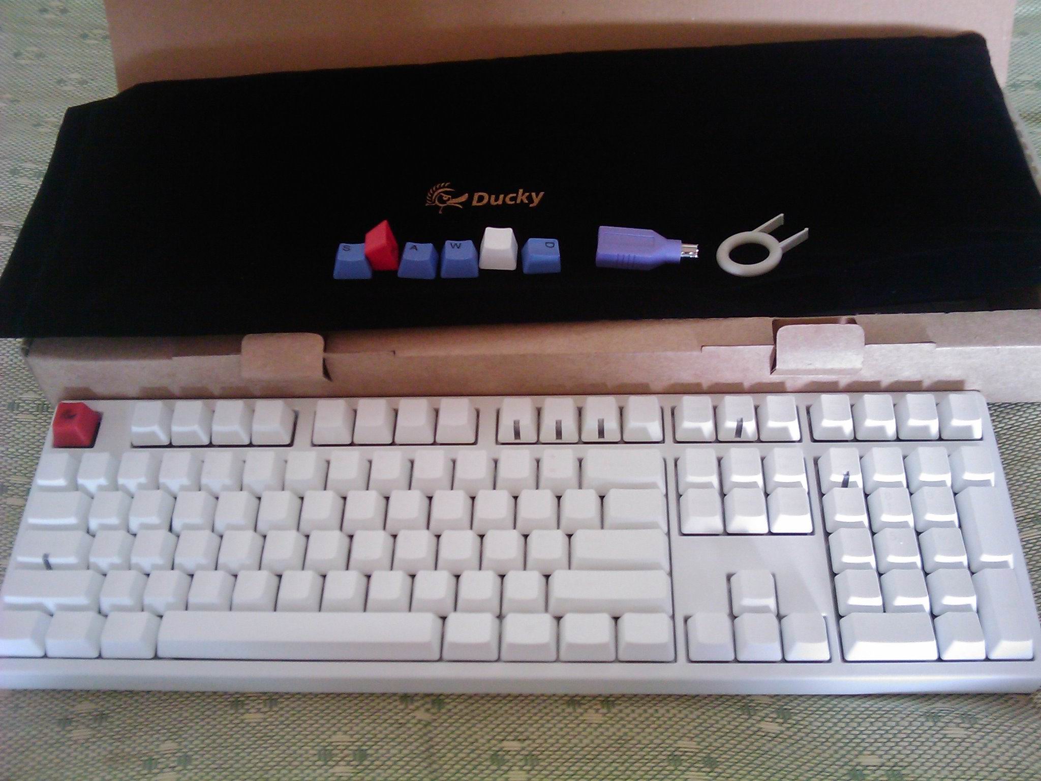 IMAG0054.jpg