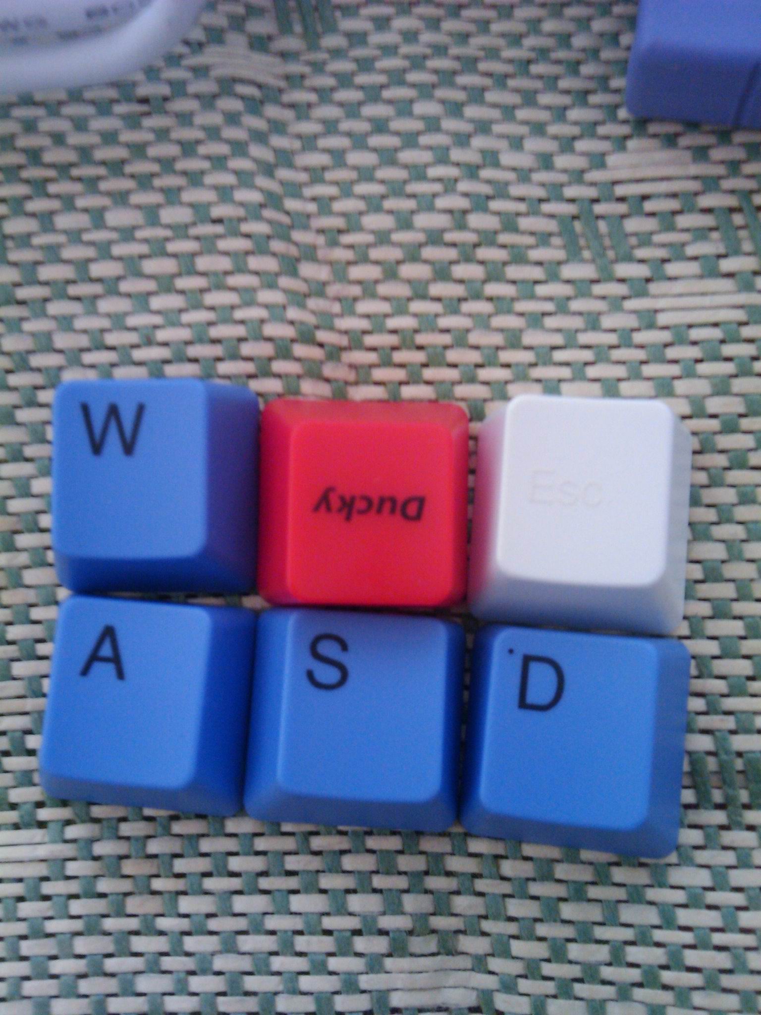 IMAG0052.jpg