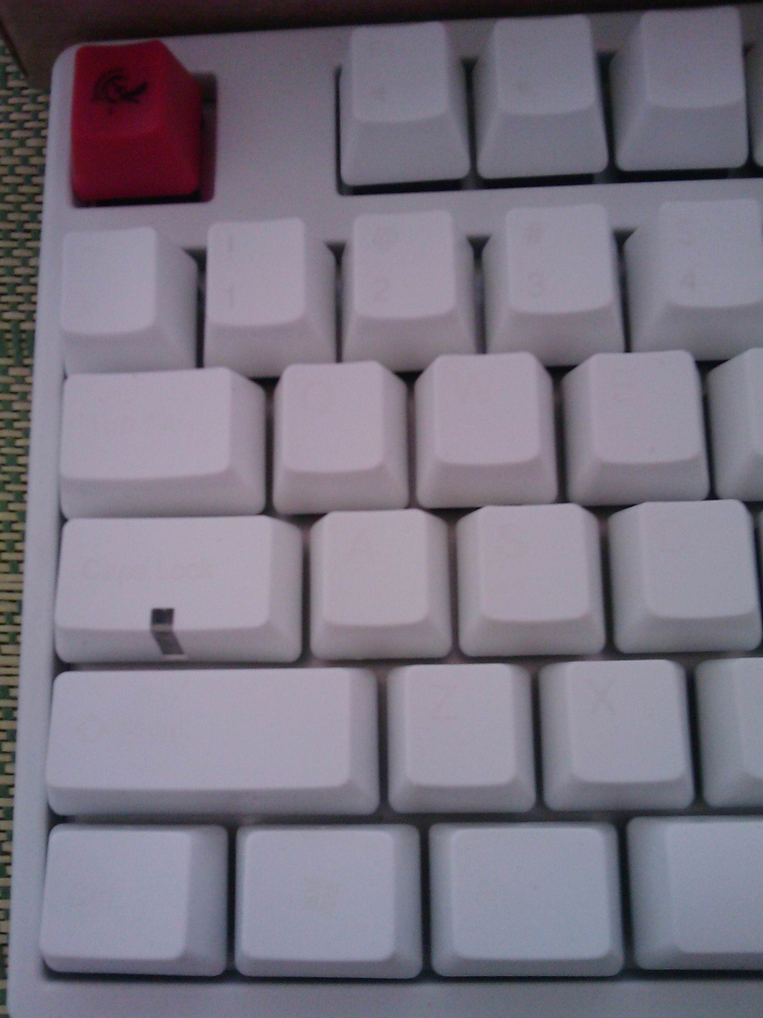 IMAG0057.jpg