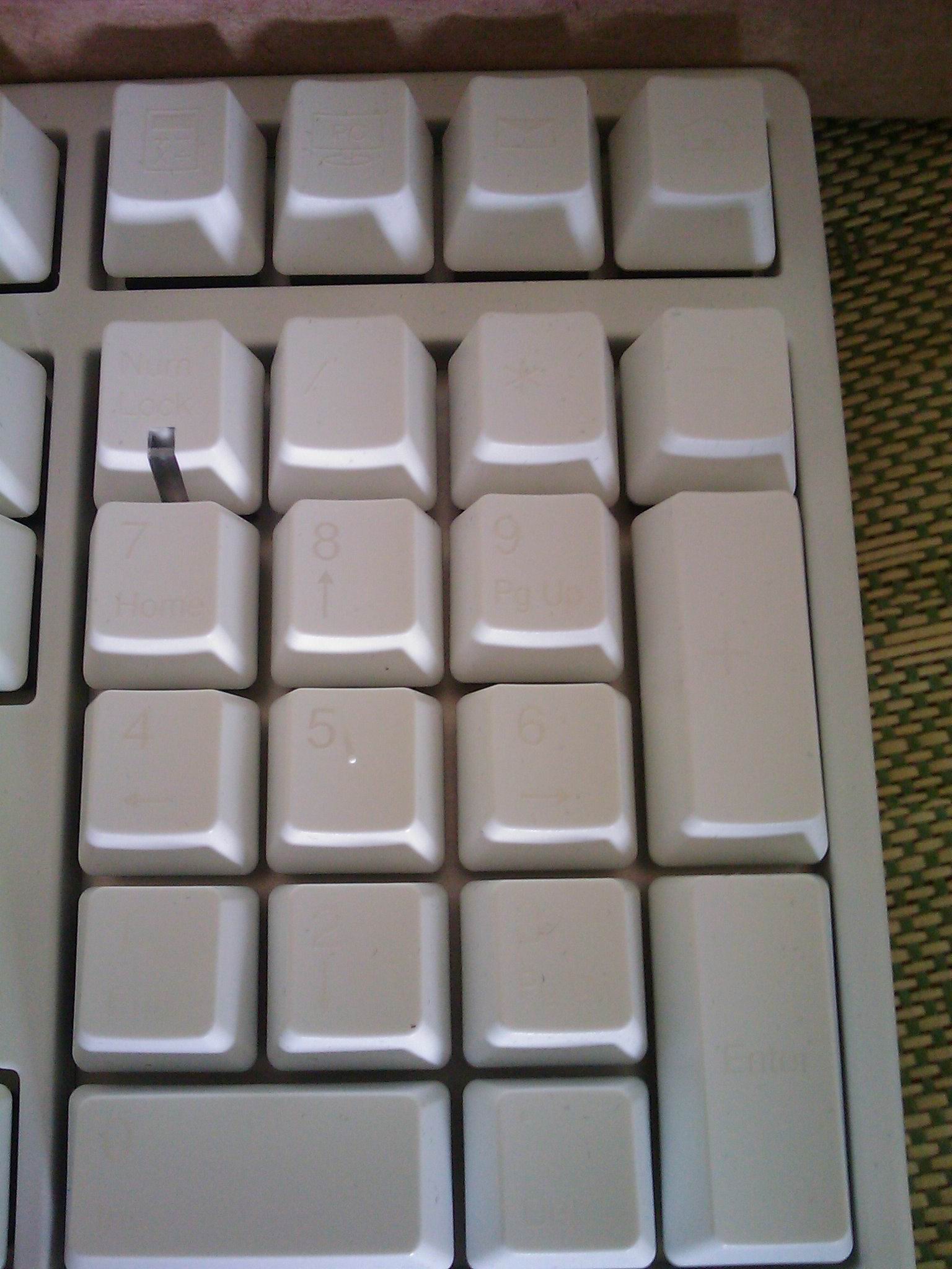 IMAG0056.jpg