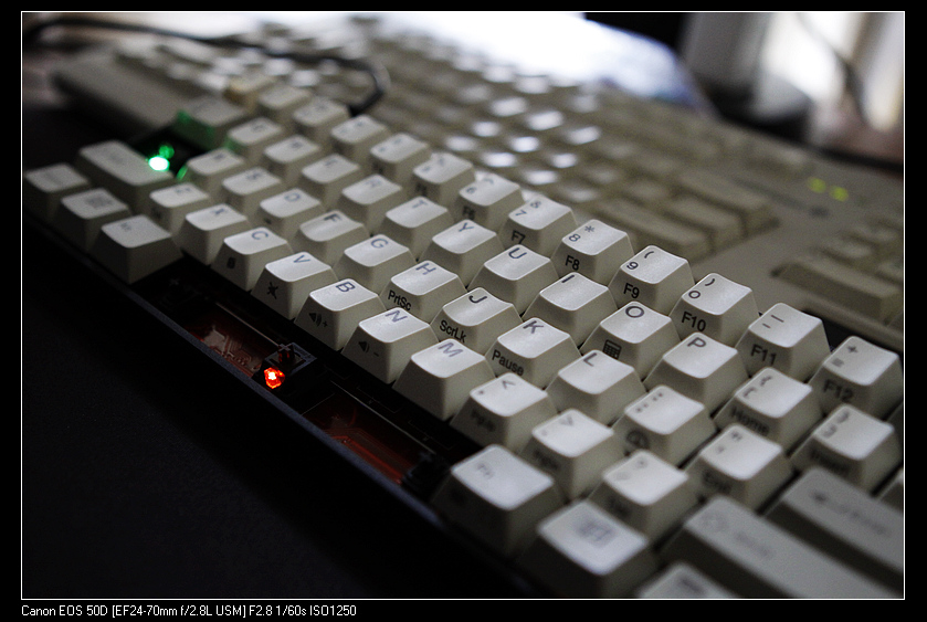 nEO_IMG__MG_6975.jpg