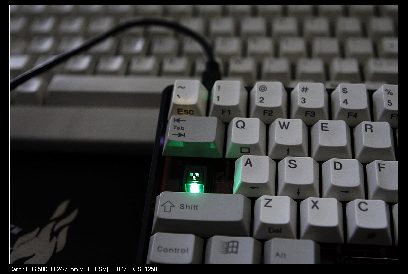 nEO_IMG__MG_6974.jpg
