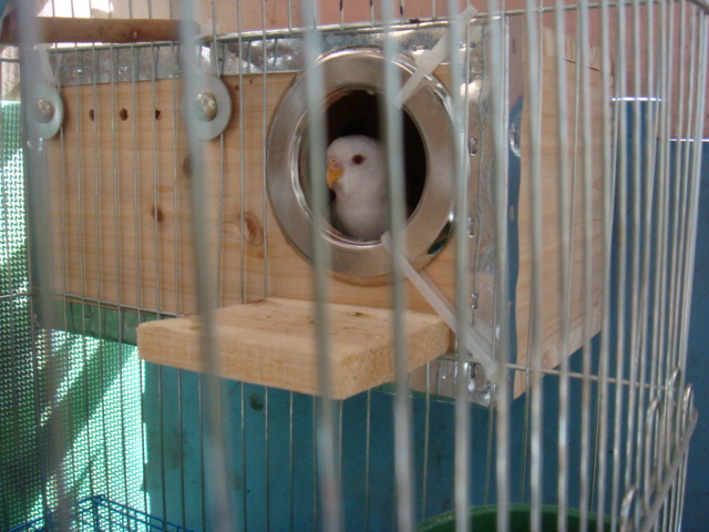 DSC01072.JPG