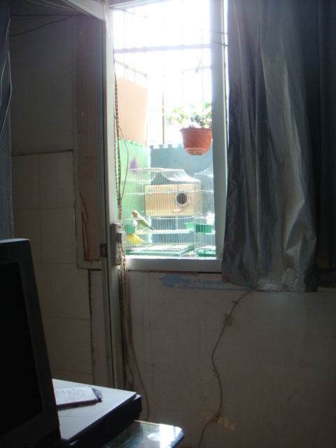 DSC01065.JPG