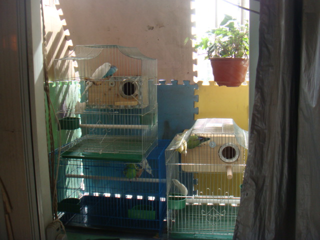 DSC01068.JPG
