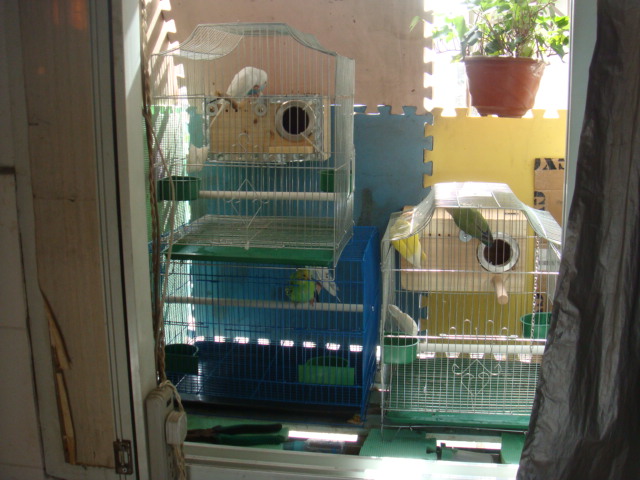 DSC01067.JPG