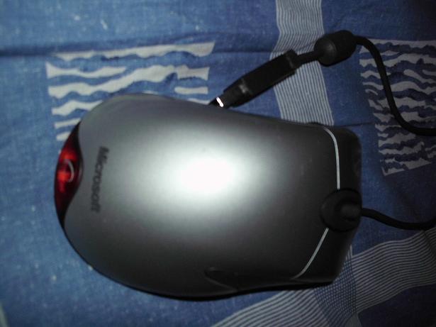 DSCI0009.JPG