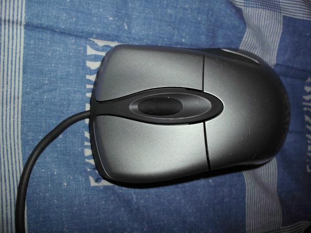 DSCI0010.JPG
