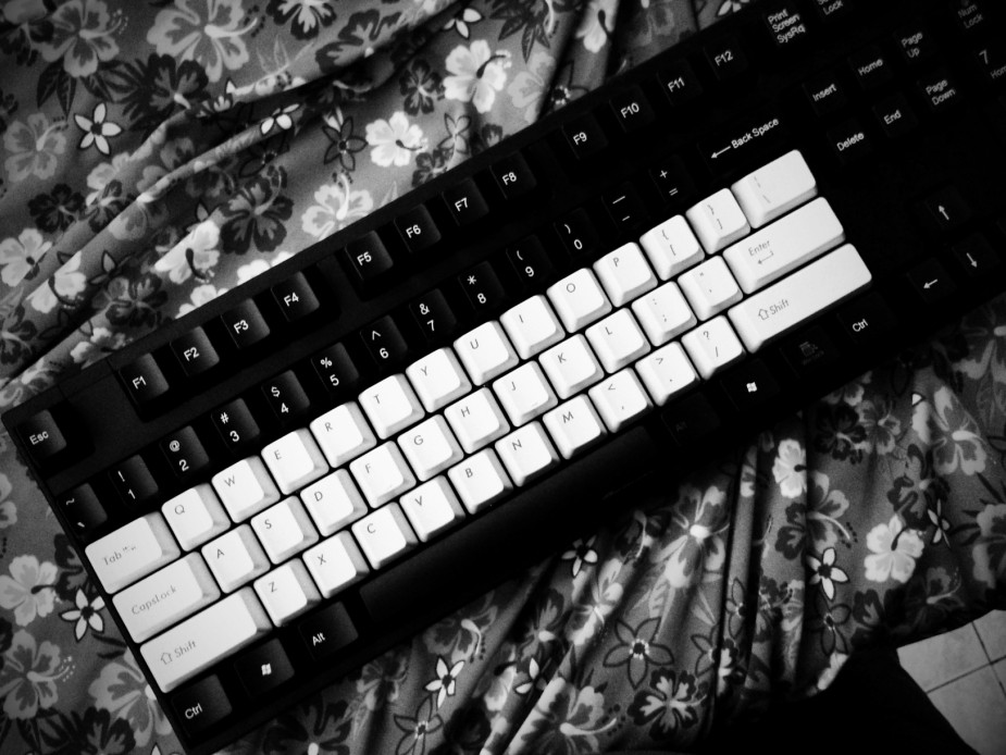 ducky 1008 ׵