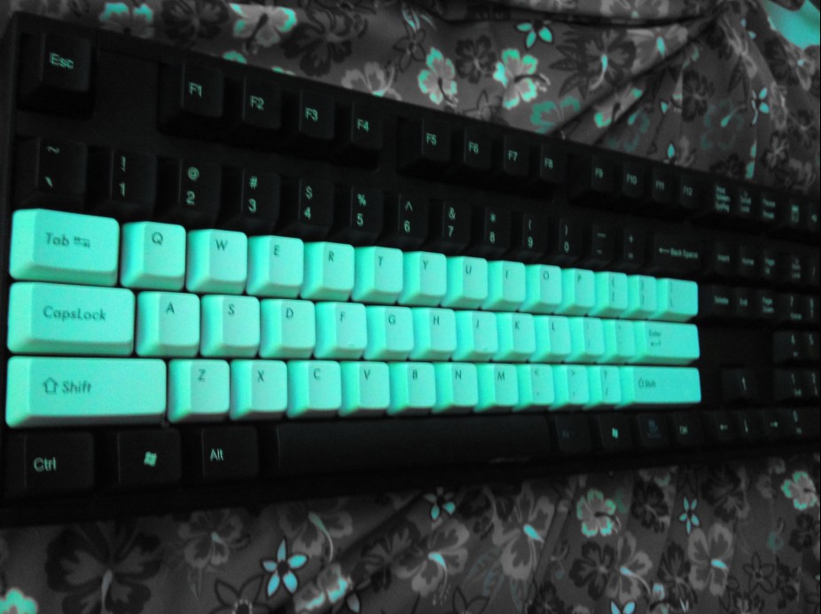 ducky 1008 ׵
