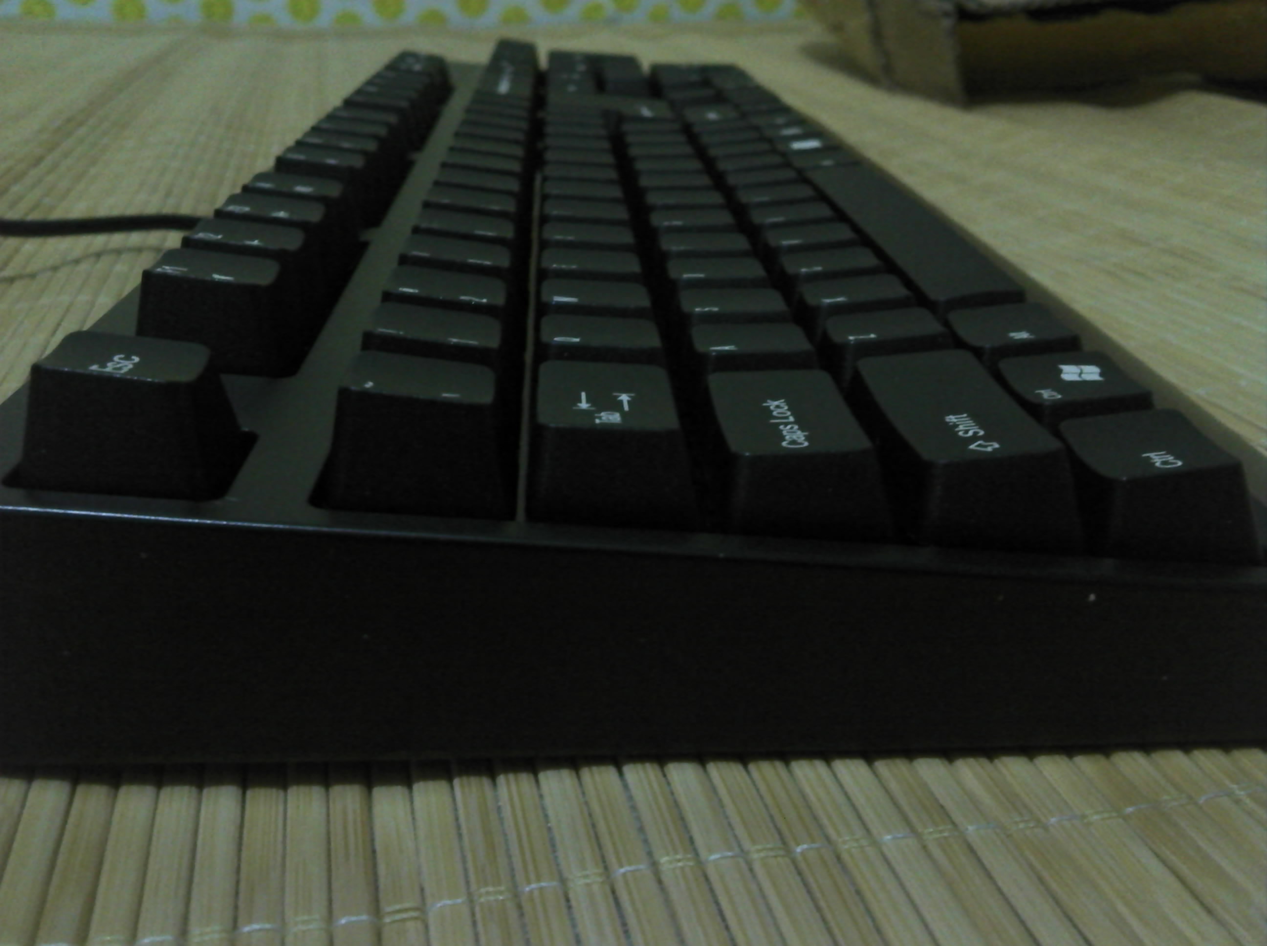IMG_20110510_193536.jpg