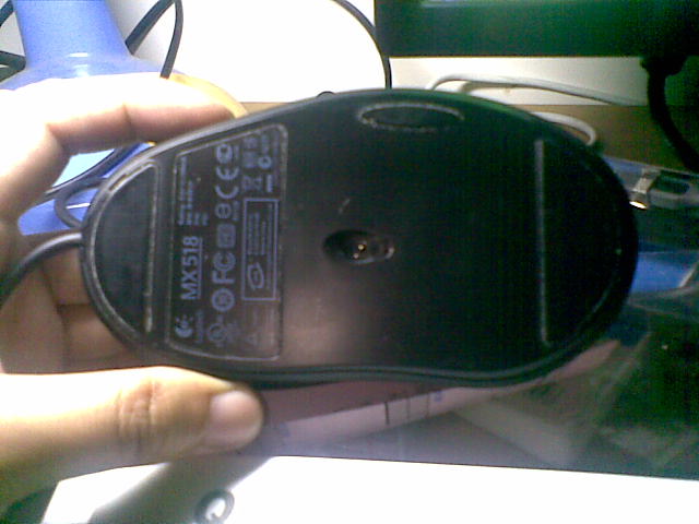 20110512.jpg