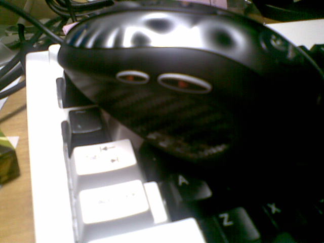 20110512(002).jpg