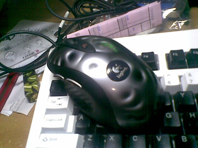 20110512(001).jpg