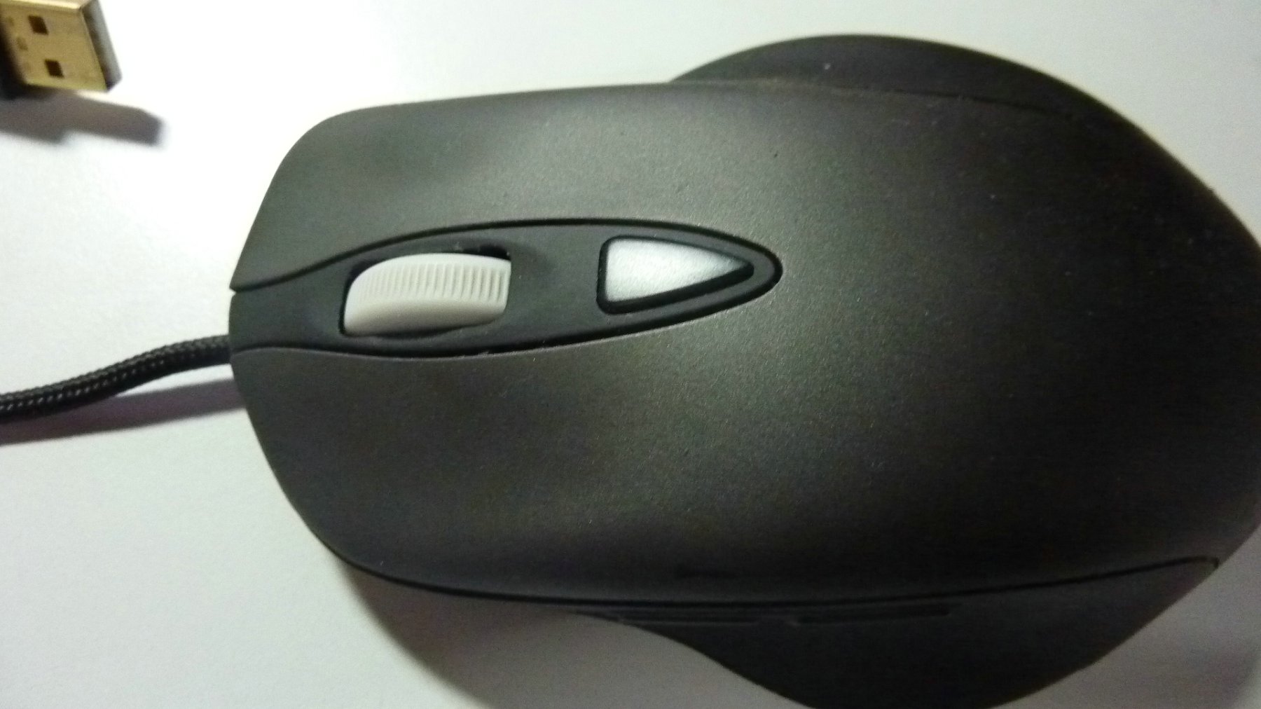 P1000733.JPG