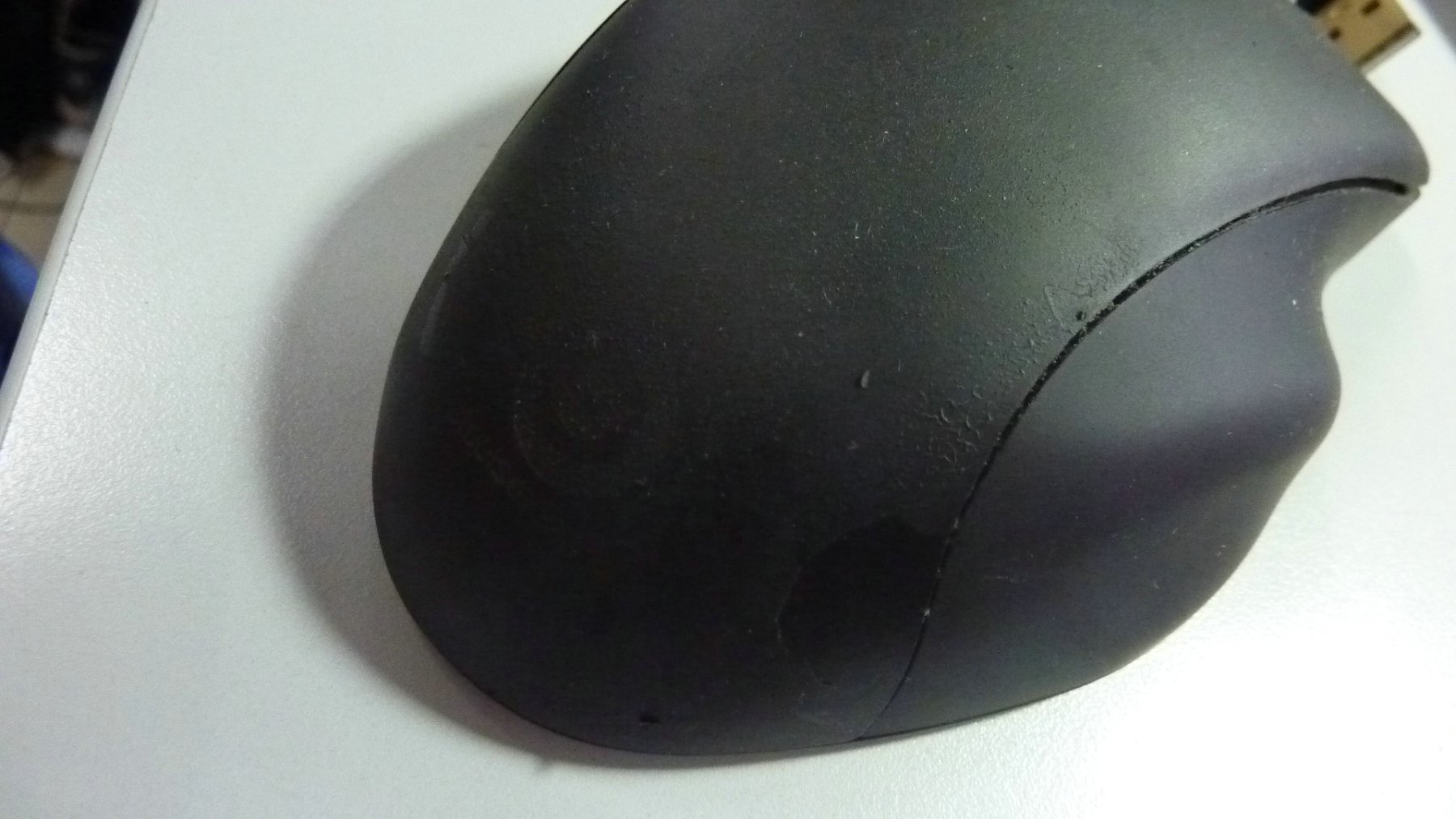 P1000734.JPG