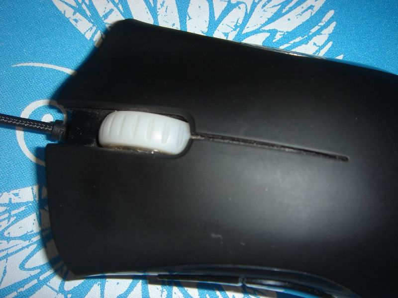 5.JPG
