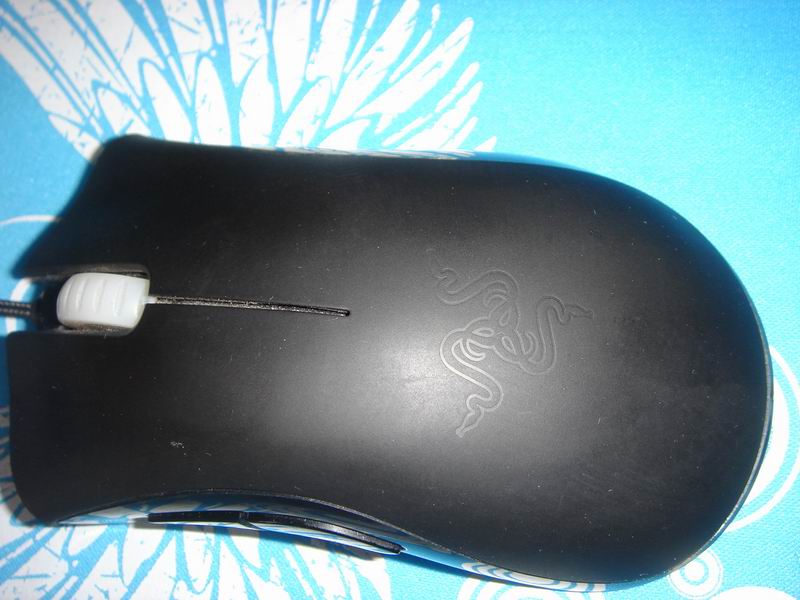 4.JPG